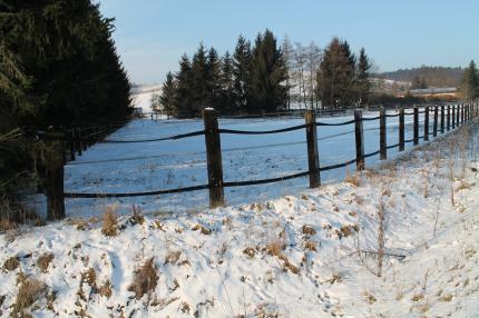 Winterlandschaft rund um die Reitanlage